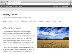 Стандартная тема Twenty Twelve