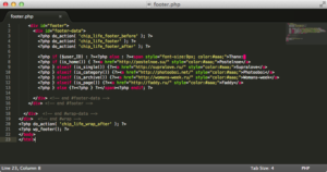 Изменённый файл footer.php