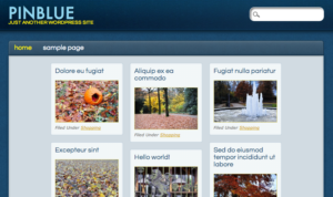 Темя для WordPress PinBlue