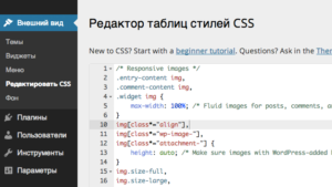 Редактировать CSS в WordPress