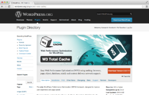 Плагин W3 Total Cache