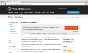 Плагин Automatic Updater