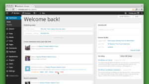 Новая консоль в WordPress