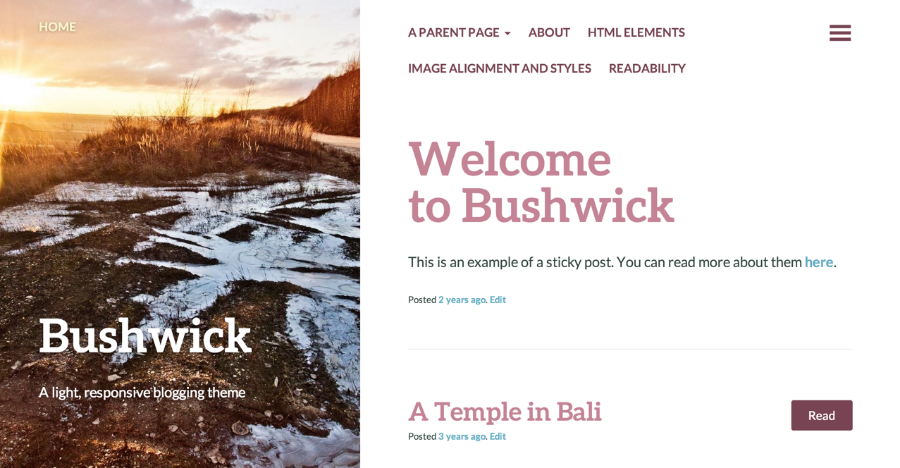 Тема для WordPress Bushwick