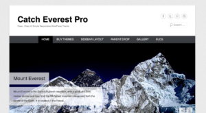 Catch Everest