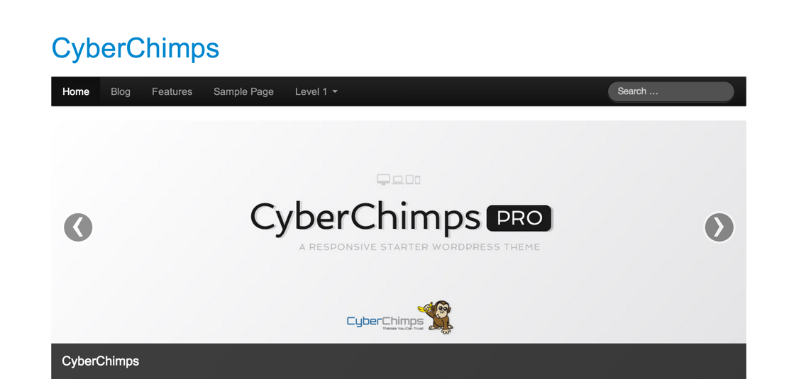 CyberChimps