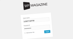 Свой логотип при входе в WordPress