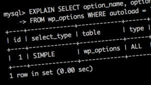 Отладка SQL-запросов в WordPress