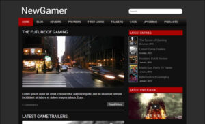 Тема NewGamer