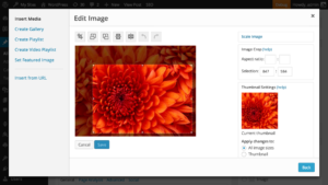 Редактор изображений в WordPress 3.9