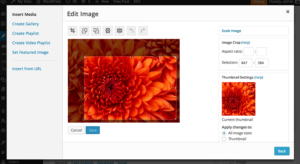 Изображения в WordPress 3.9