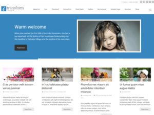 Тема i-Transform