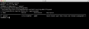 Обновленный пакет OpenSSL на Debian Wheezy