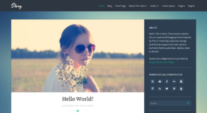 Тема для WordPress Story
