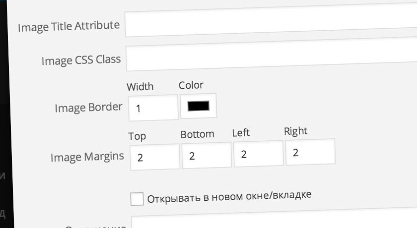 Отступы и границы в WordPress 3.9