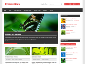 Тема Dynamic News Lite