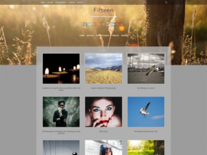 Тема для WordPress Fifteen