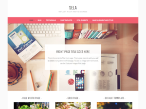 Бизнес тема для WordPress Sela