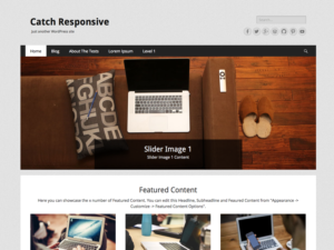Адаптивная тема Catch Responsive
