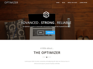 Тема для WordPress Optimizer
