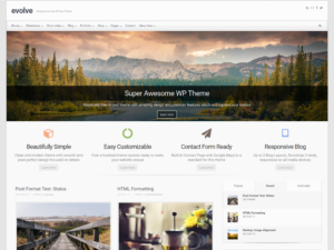Бесплатная тема для WordPress Evolve