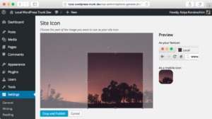 Управление favicon в WordPress 4.3