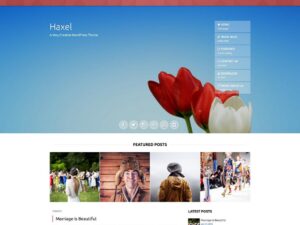 Тема Haxel