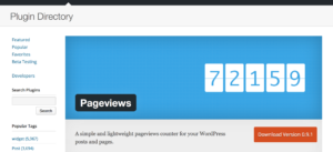 Счетчик просмотров для WordPress