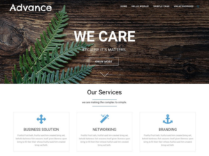 Корпоративная тема Advance