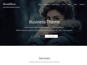 Тема для WordPress NovelBlue