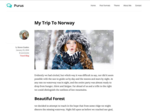 Стильная тема для WordPress Purus
