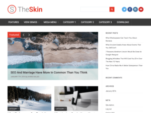 Многофункциональная тема The Skin
